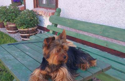 Dom na wyłączność Kruzy36 - Foto 31