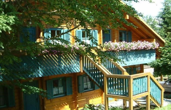 Ferienhaus Mitterdorf - Foto 41