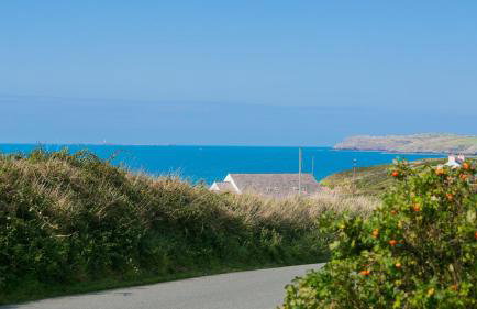 Oyster Catcher - Foto 24
