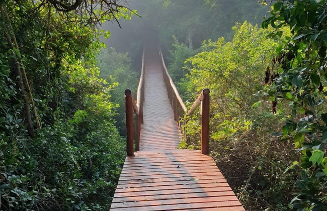 Kangela 11 - Photo 17