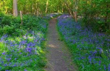 The Granary - Wood Farm Barn. Luxury Barn with wonderful countryside views - Foto 21