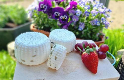 BAJKA-Domek na wsi - Foto 43