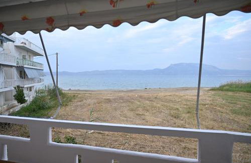 Blue Waves - Foto 19