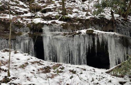 The Retreat by On Cue Properties - Foto 3