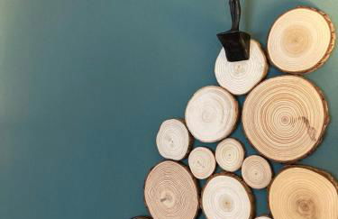 Ferienwohnungen bei der Purpurbuche - Foto 67