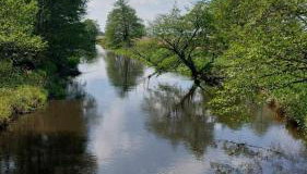 Dom w Trawach - Foto 4