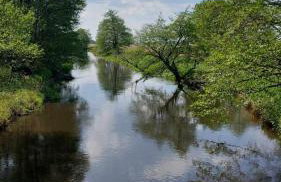 Dom w Trawach - Foto 4