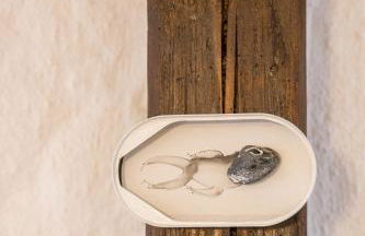 Goldhammer - Foto 35