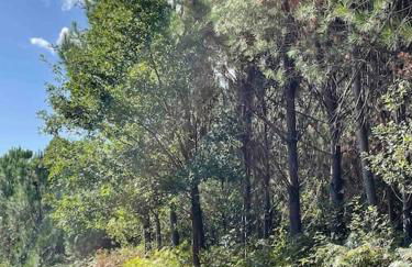 Le Porge location T2 neuf - Foto 7