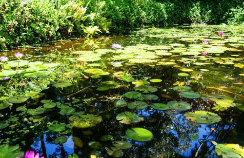 Waterfall House with Ocean Views in Haiku, Maui - Photo 47