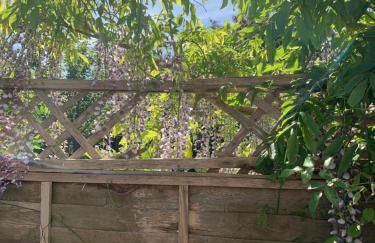 The White Barn near Cambridge - Foto 53