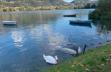 La Magnolia - Foto 28