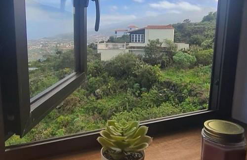 Finca Horizonte Azul - Foto 66