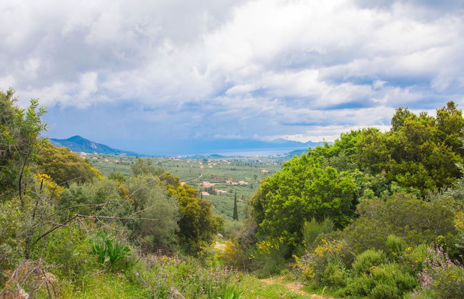 Zante Lagos Holiday Homes - Foto 36