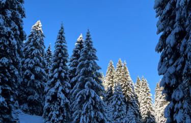 Val di Sole Apartment - Foto 7