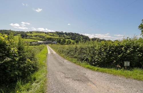 Plas Glan Yr Afon - Photo 69