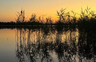 Leszczynowa Górka -Mazurskie Siedlisko w Silcu - Foto 6
