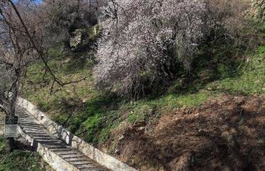 Μακρινίτσα Αλώνια - Foto 2