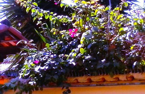 Paraíso de Itaipu - Foto 13