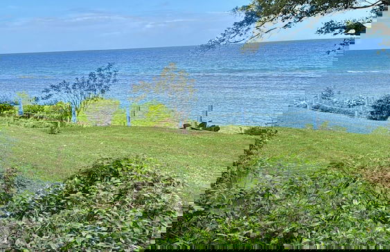 Inviting 1-bed Apartment in Ocho Rios - Foto 21