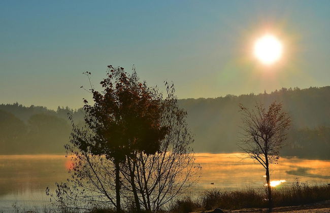 Log Cabin in Hasselfelde Near Harzer-hexen-stieg - Foto 20