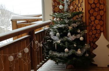 Résidence : Le Crystal Chalet - Foto 3