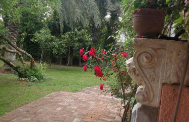 Villa with big garden - Foto 7