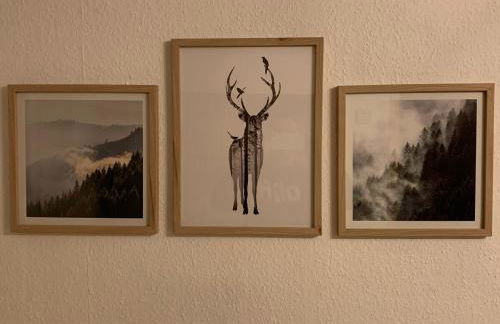 Zu Gast bei Freunden - Foto 35