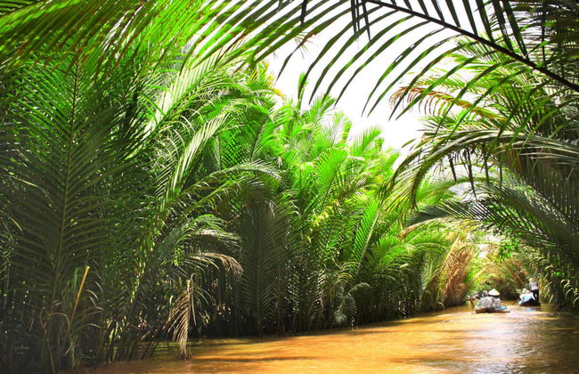 Circuit de 2 jours dans le Delta du Mékong - Photo 2