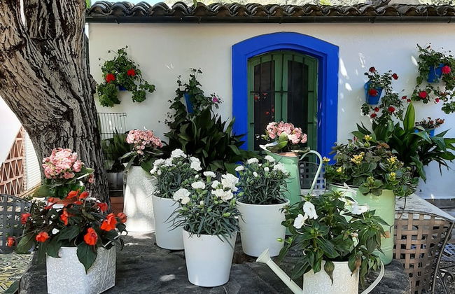 El Rincón de Carmen - Foto 38