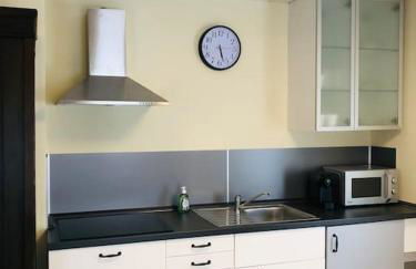 Schönes Studio mit Küche, frisch renoviert - Foto 5