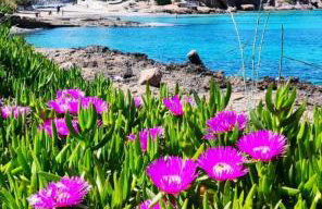 Serenity Villa-Ground floor-Sea view- sea 150m away - Foto 63