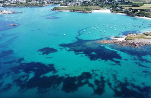 Ty Glas charmante maison 200 m de la plage - Foto 14