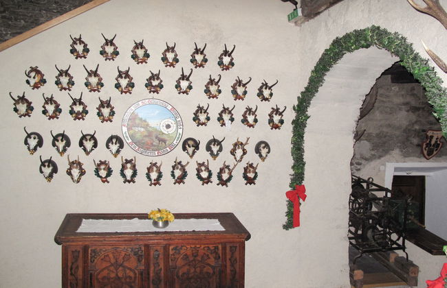 Burg Biedenegg, Heidenreich - Foto 25