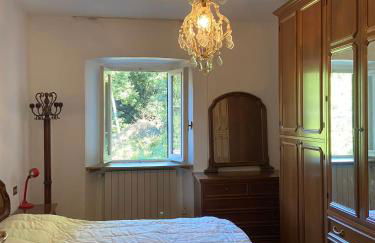 Natura tra bosco e lago - Foto 46