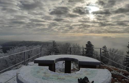 La petite halte - Foto 32