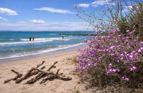 Jungle Spa - Cocon tropical et dépaysant avec balnéo en plein coeur de Pézenas ! - Foto 28