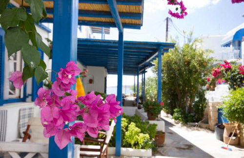 George's beach studios Aliki Paros - Photo 43