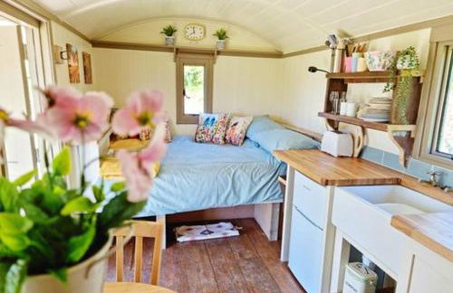 Pen Bryn Shepherd Hut - Foto 7