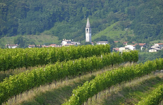 Agriturismo I Comelli - Foto 57