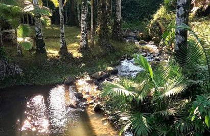 Recanto Hellmann - Foto 38