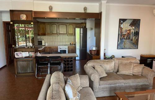 Maria's Apartment, Selianitika - Foto 8