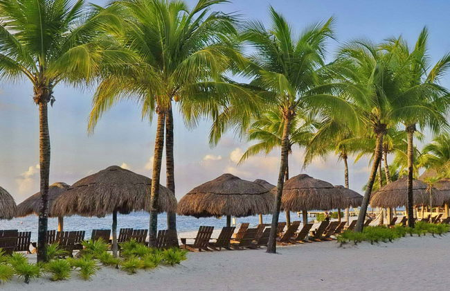 Cozumel Bar Crawl - Foto 1