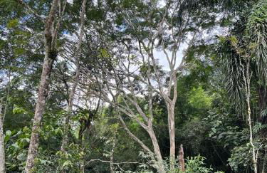 Sitio Serenar Chalés Equipados - Foto 21