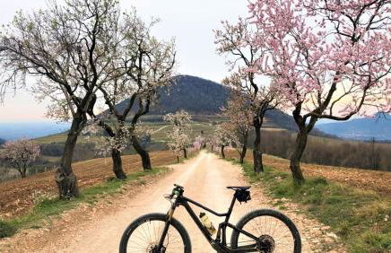 Villa Terme Padova-Relax & Wellness - Foto 35