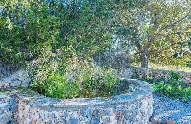 Sa Punta in Sant Lloren des Cardassar - Foto 20