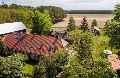 FeWo-Am-Wald - Foto 1