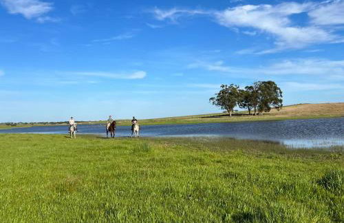 Herdade da Boavista - Foto 49