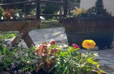 IL F A G G E T O - Terminillo - Foto 36