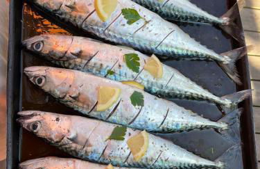 Maison de vacances - côte de Jade - coup de coeur - Foto 37